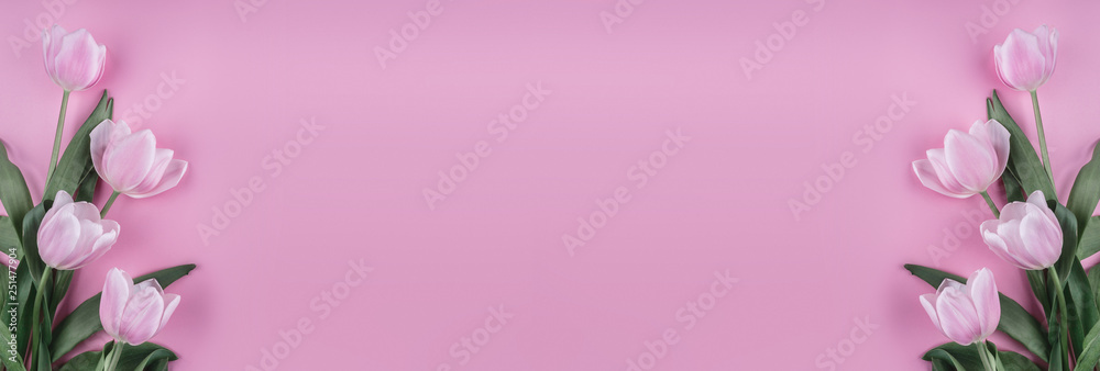 Pink tulips flowers on pink background. Waiting for spring. Happy Easter card. Flat lay, top view. Pink tulips flowers on pink background. Waiting for spring. Happy Easter card. Flat lay, top view.