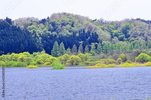 新緑の湖