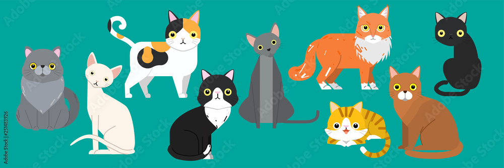 Funny cartoon cats characters different breeds cute pet animal set, vector illustration