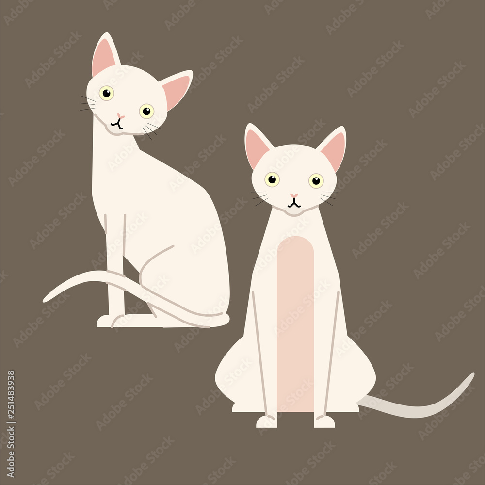 Funny cartoon cats characters, cute pet animals, vector illustration