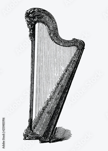 Vintage harp illustration