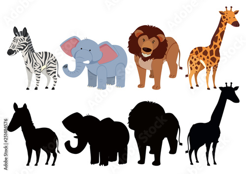 Set of animal character