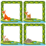 Set of wild animal frame
