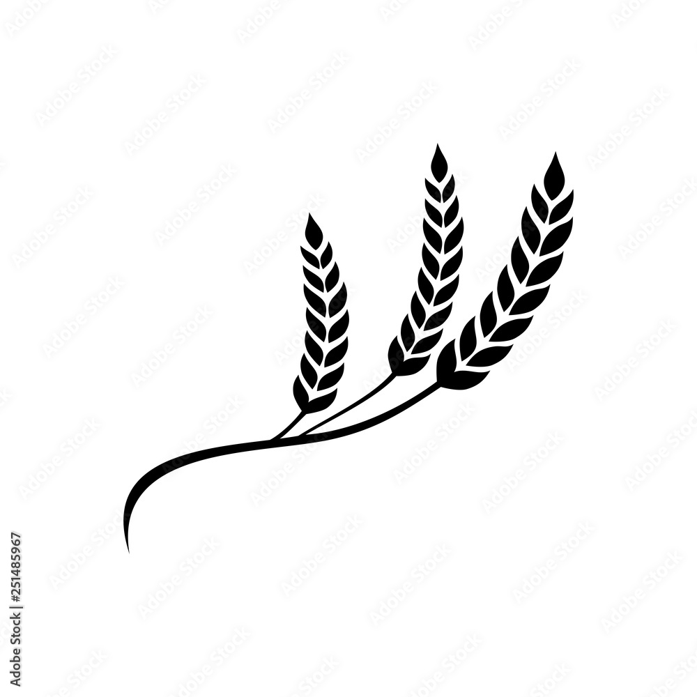 Wheat vector illustration