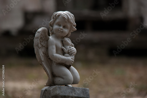 angel with rabbit in grave yard