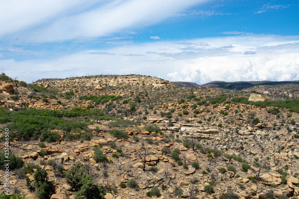 Mesa Verde National Park Fire - A large burned area atop Wetherill Mesa