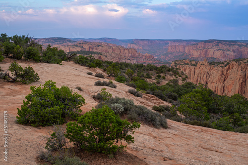 Navajo National Monument Roadside Overlook to Sandstone Canyons