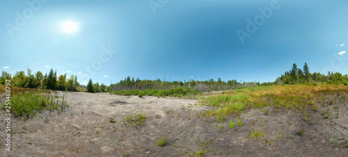 HDRI. Wild landscape in Canada. Forest trees in summer with a desert field of grass and bushes in front. Row of trees on the horizon and blue sky in background. Large panoramic landscape. HDR image
