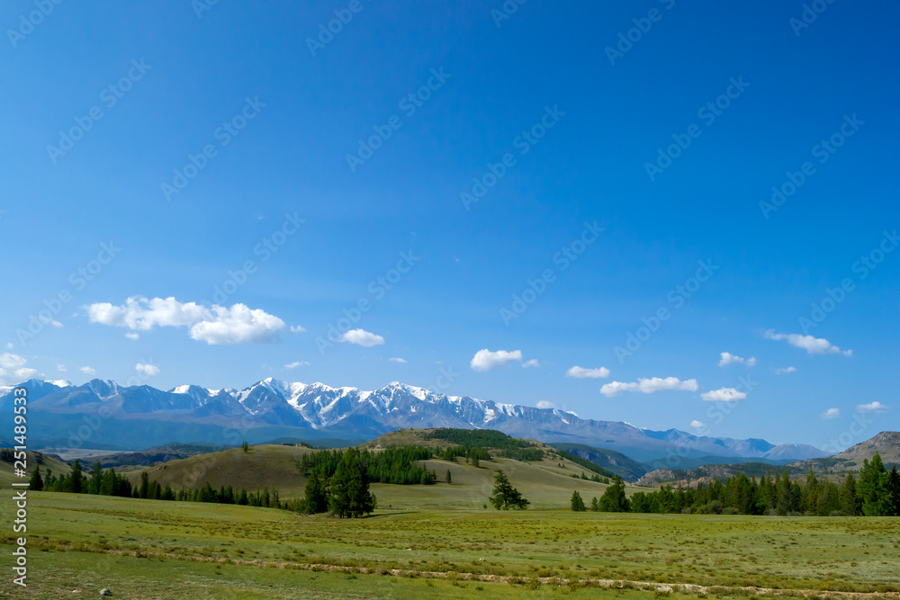 A meadow with lush green grass and coniferous trees stretching in front of the stone ridge of snow-capped peaks, a mountain range in a blue haze and white clouds.