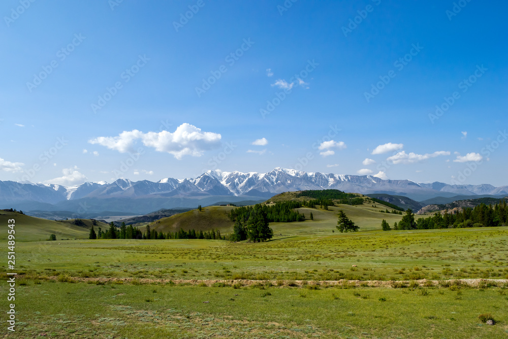 A meadow with lush green grass and coniferous trees stretching in front of the stone ridge of snow-capped peaks, a mountain range in a blue haze and white clouds.