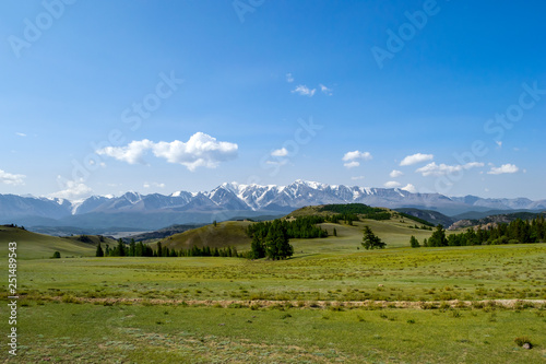 A meadow with lush green grass and coniferous trees stretching in front of the stone ridge of snow-capped peaks  a mountain range in a blue haze and white clouds.
