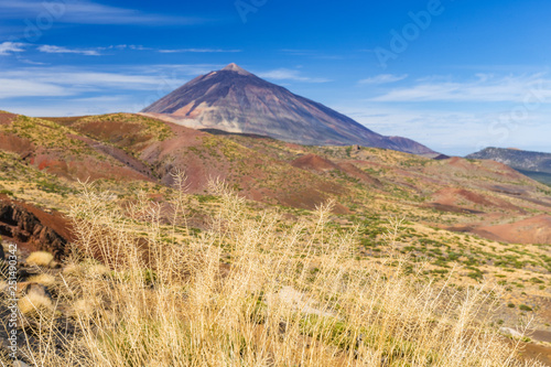 Stunning view of the Teide volcano. Las Cañadas del Teide. Tenerife. Canary Islands..Spain