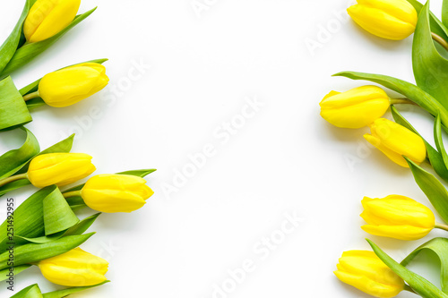 Spring composition. Delicate yellow tulips on white background top view space for text border #251492955