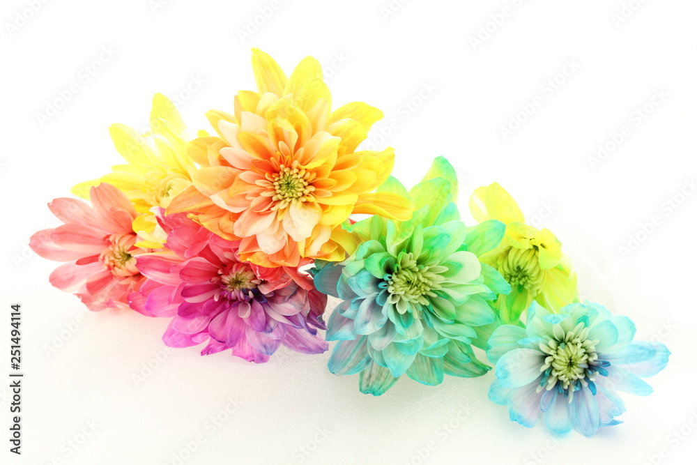 花 レインボーカラー Stock Photo Adobe Stock