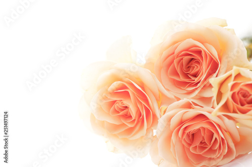 Fototapeta Naklejka Na Ścianę i Meble -  floral background of orange roses