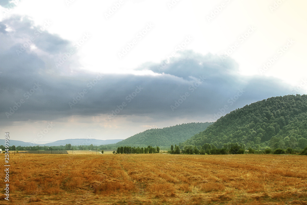 landscape with green field and blue sky