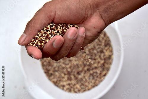 Cupped hands with three colors quinoa © alessandro