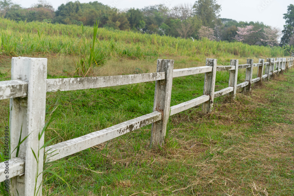 Pole Cement Farm fence Pole Cement Farm fence