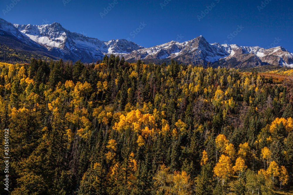 Autumn view in Colorado