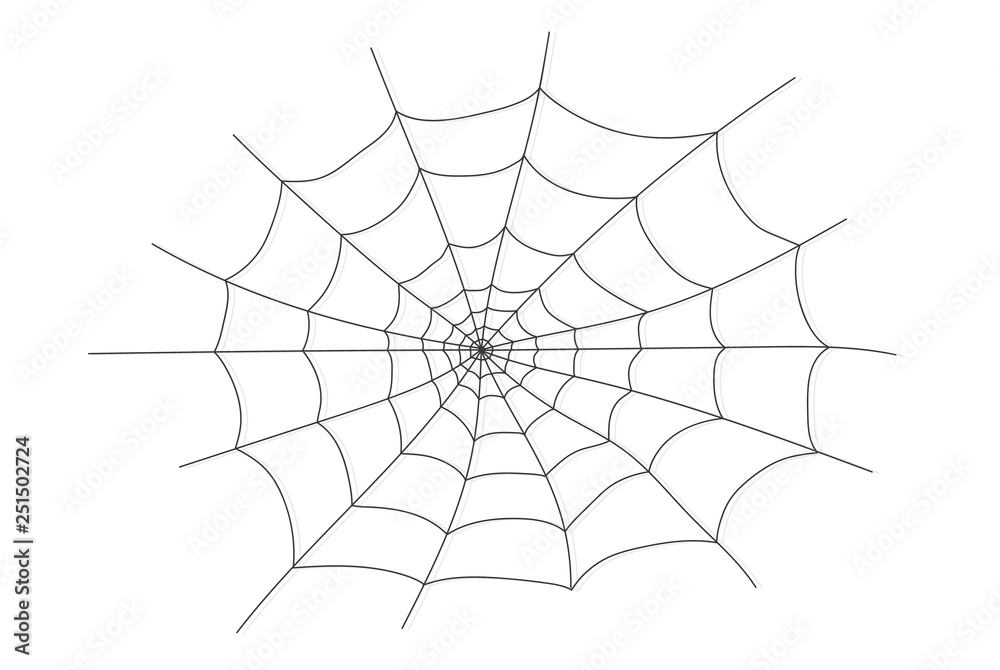 Fototapeta premium Cobweb isolated on white