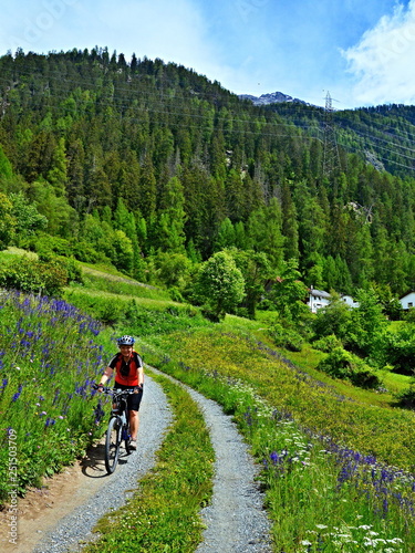 Swiss Alps-view on the cyclist to path from Raschvella