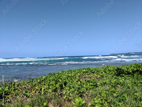 Wainiha Bay Park photo