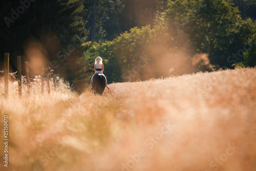 Young girl rides her horse, on a summer evening at sunset, in a summer dress past grain fields. © RD-Fotografie