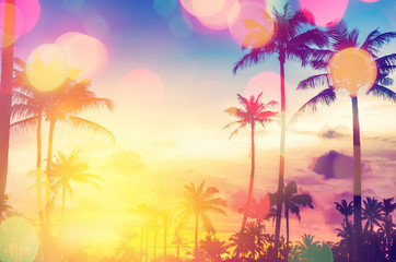 Tropical palm tree with colorful bokeh sun light on sunset sky cloud abstract background.