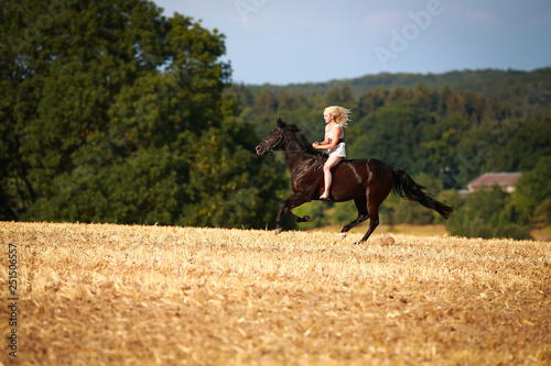 Horse with rider (woman) on a summer evening gallops over a harvested cornfield, wearing only a summer dress and bareback with open hair. © RD-Fotografie