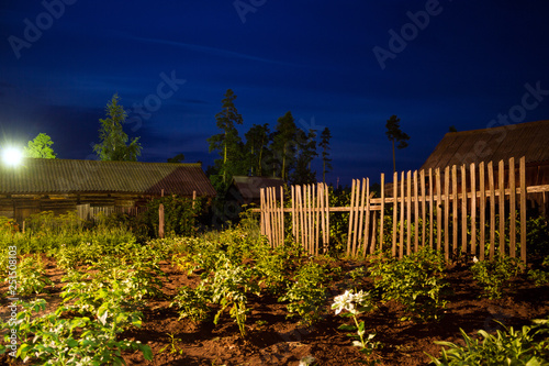 night garden in the village