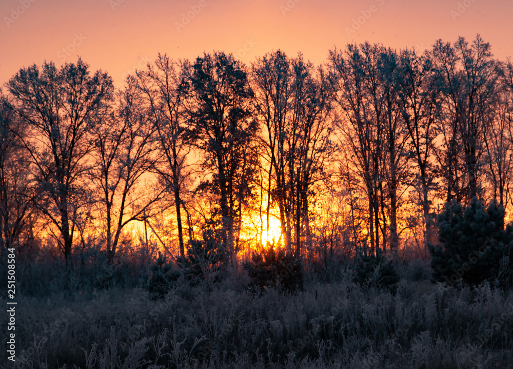 Naklejka premium sunrise on a frosty winter morning