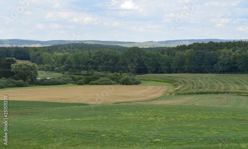 Sommer. Außerhalb der Stadt