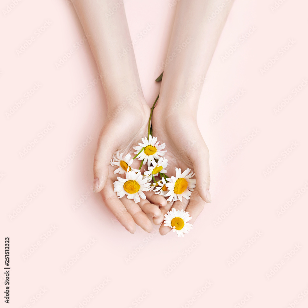 Fashion hand art chamomile natural cosmetics women, white beautiful chamomile flowers hand with bright contrast makeup, hand care. Creative beauty photo girl sitting at table, contrasting background - obrazy, fototapety, plakaty 