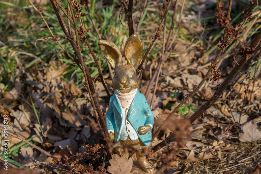 Φωτογραφία Hase in blauem Frack in Abendsonne zwischen braunen Kräutern und Blättern vom Vo