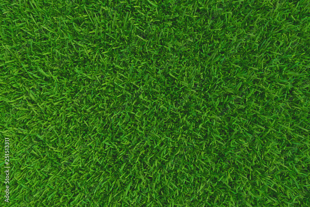 Green grass. background texture. fresh spring green grass. 3d rendering Green grass. background texture. fresh spring green grass. 3d rendering