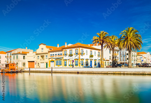 Cityscape of Aveiro, ("The Portuguese Venice"), Portugal. View of embankment with colorful buildings in the traditional architecture style, canal for boats and ships and several big palm trees