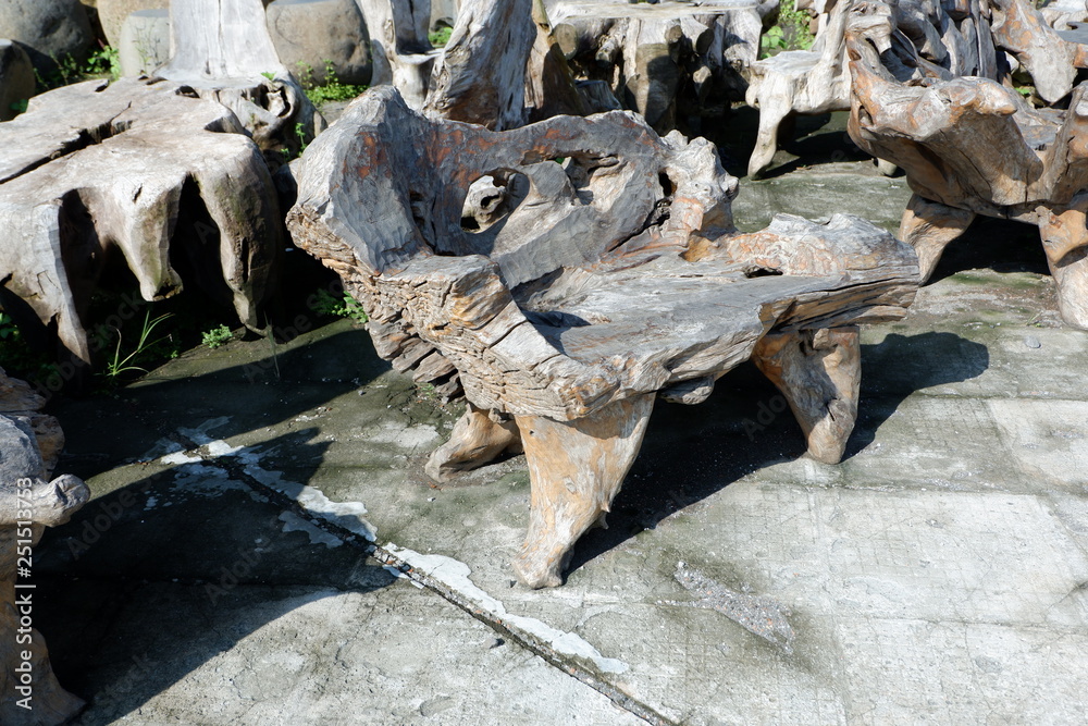wood texture and wood root wood texture and wood root