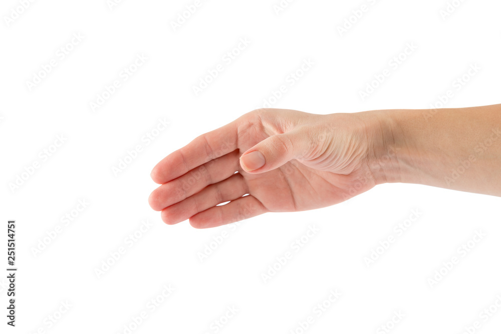 Two hands isolated on a white background