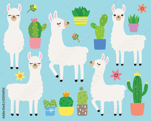 Cute plain white llamas or alpacas and cacti vector illustration set.