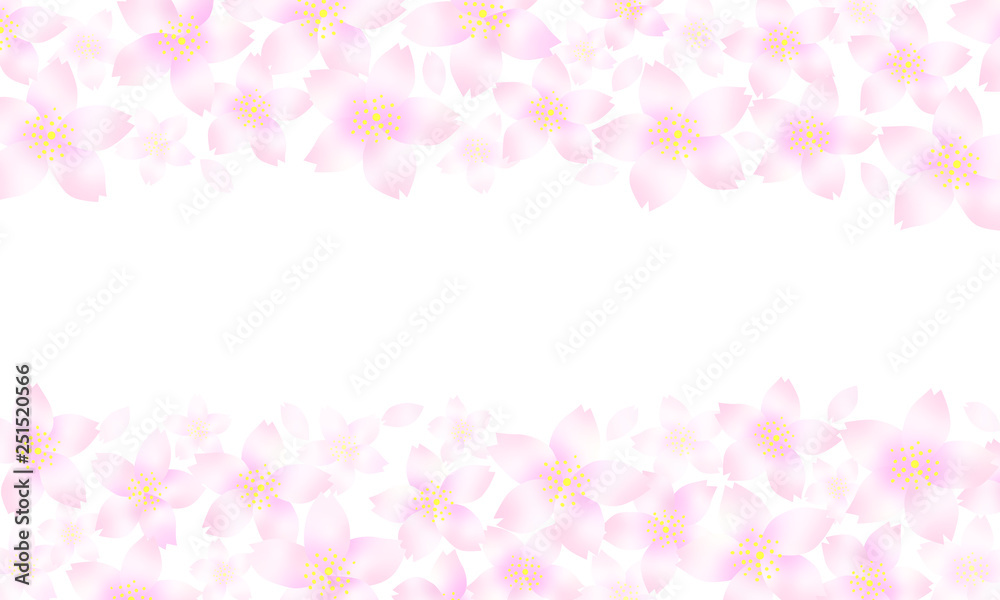 桜の花　ふんわり桜色のフレーム　白背景