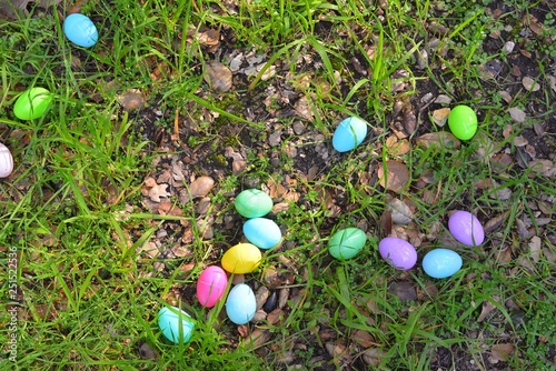 easter eggs in the grass