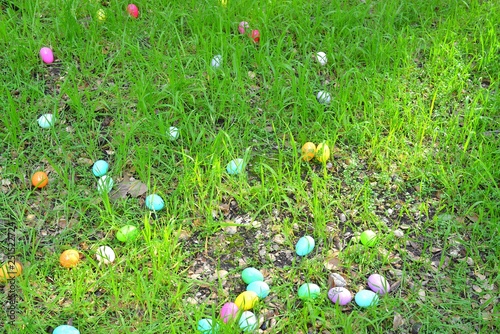 easter eggs on the grass 