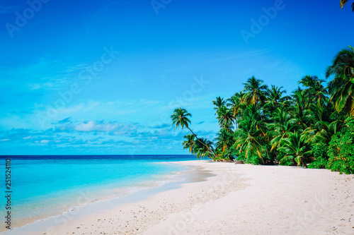 tropical sand beach with palm trees  vacation concept