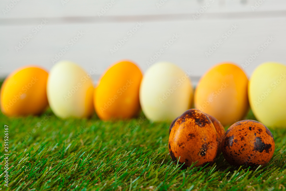 Easter eggs on green grass