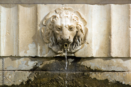 Fontaine lion Bas relief place Cathédrale Saint-Martin de Lucques (Lucques Toscane Italie)