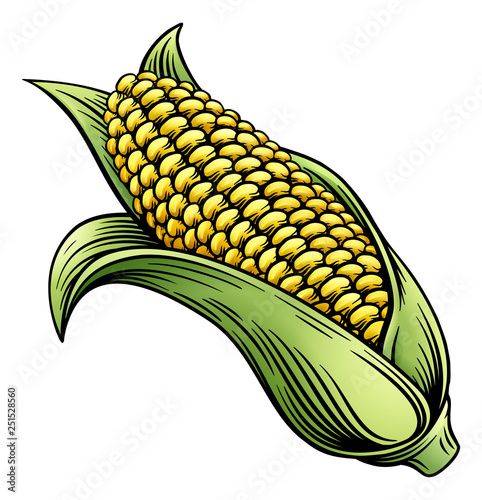 A sweet corn ear maize woodcut print or vintage etching style illustration