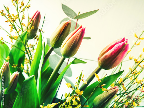 Beautiful bunch of tulips on pastel background