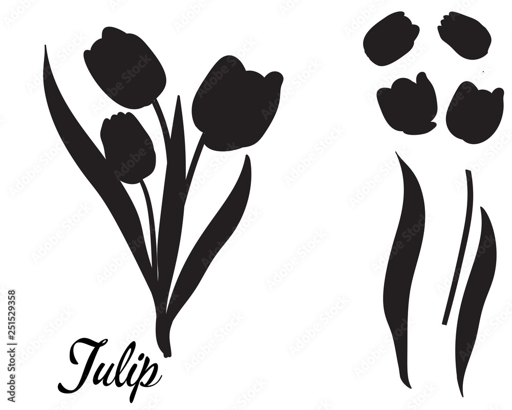Plakat Silhouette of tulip flower. Bouquet of tulips.