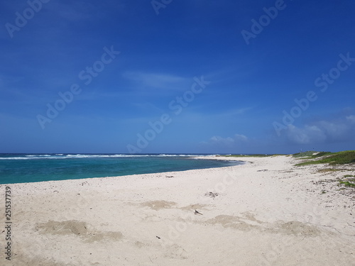 Dream beach with a lot of fine sand in Aruba photo