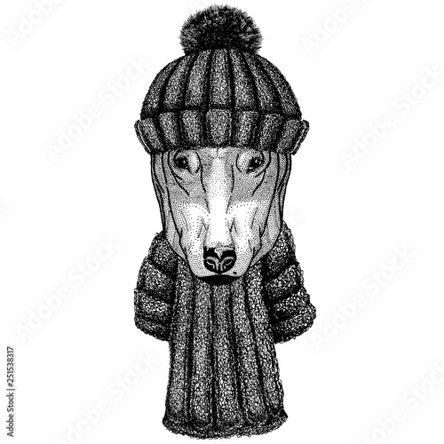 DOG for t-shirt design Cool animal wearing knitted winter hat. Warm headdress beanie Christmas cap for tattoo, t-shirt, emblem, badge, logo, patch